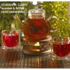 Stovetop Safe Glass Teapot Water Boiler Kettle with Infuser
