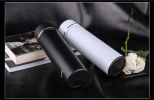 Shipping from USA Business Insulation Cup Stainless Steel Vacuum Tea Cup Water Bottle