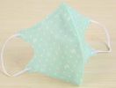 Set Of 12 3D Masks Disposable Masks Audlt Medical Mask Cotton Light Green