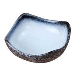 Retro Design Saucer for Sushi Porcelain Salad Saucer, 2PCS