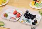 15*15 CM Unbreakable Melamine Fruits/Candies/Nuts Tray 2 PCs